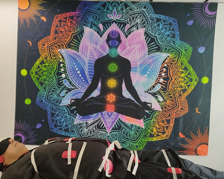 Terapia de Biomagnetismo (unica)