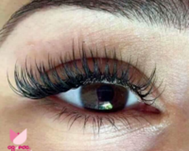 Natural Lashes