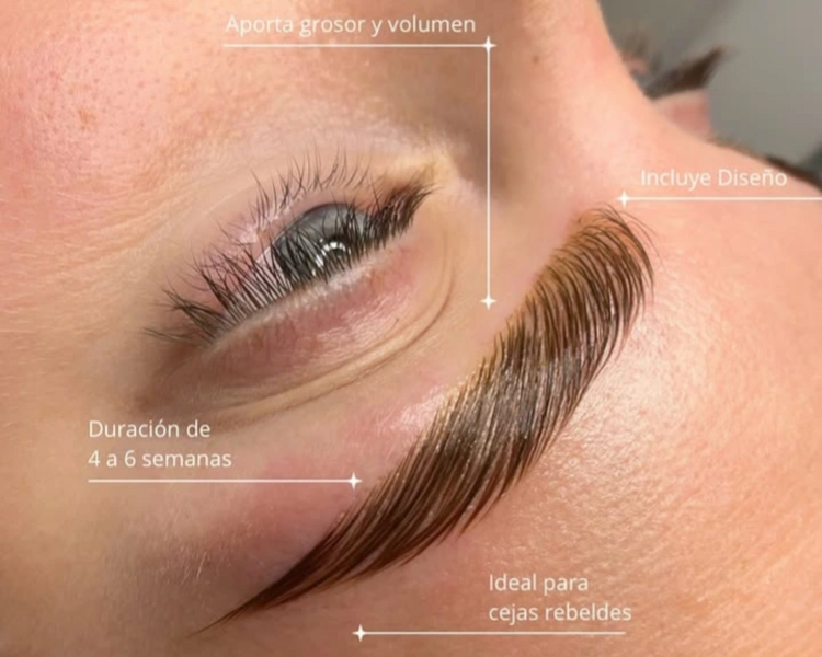 Laminado, perfilado, botox (Servicio Premium)