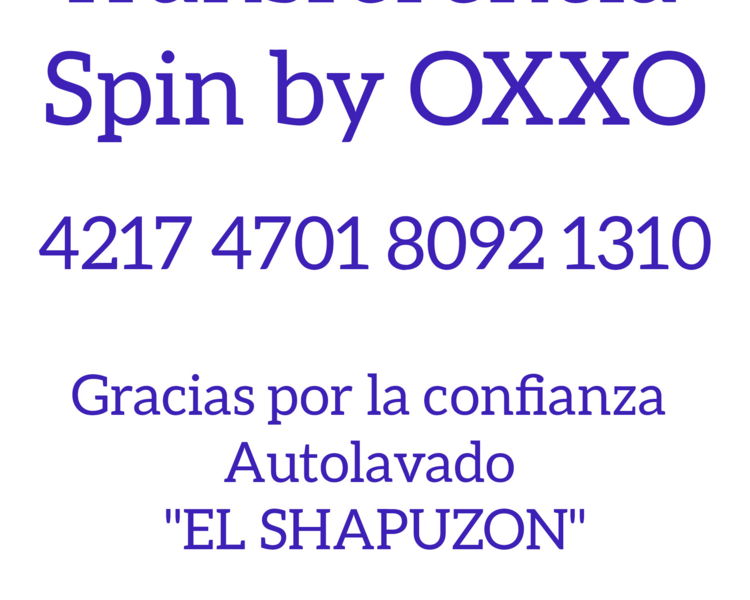 Lavado de interiores Camioneta