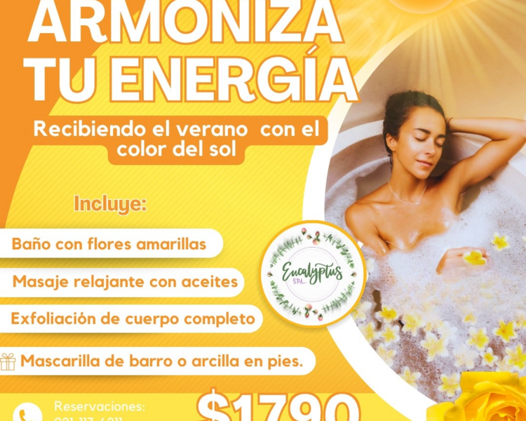 Armoniza tu energía 