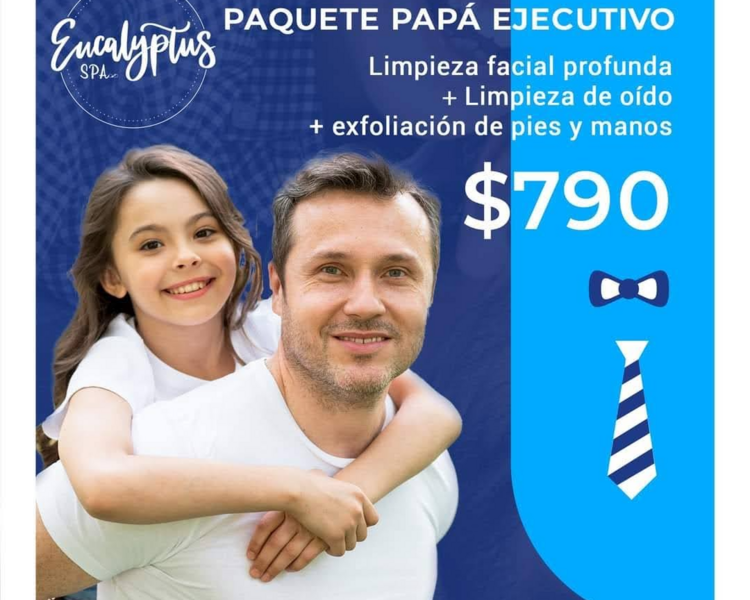 Papá ejecutivo 2 