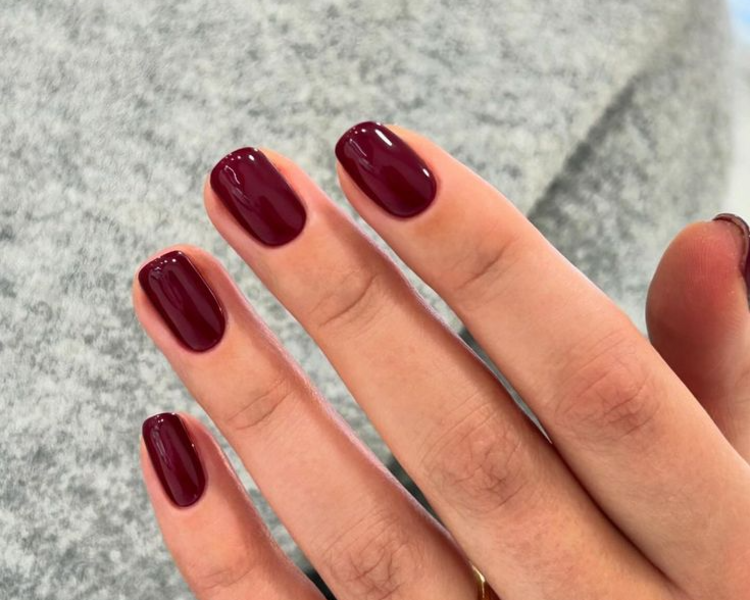 Regular Bio Gel Manicure