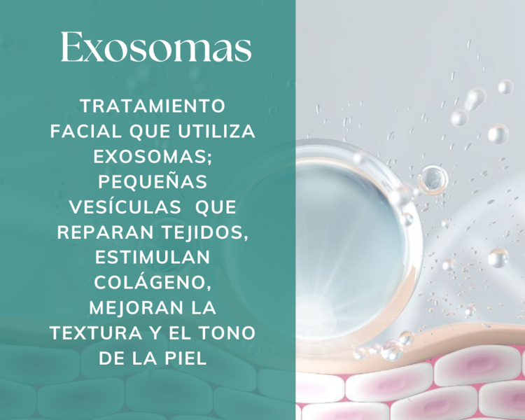 Exosomas Convencional