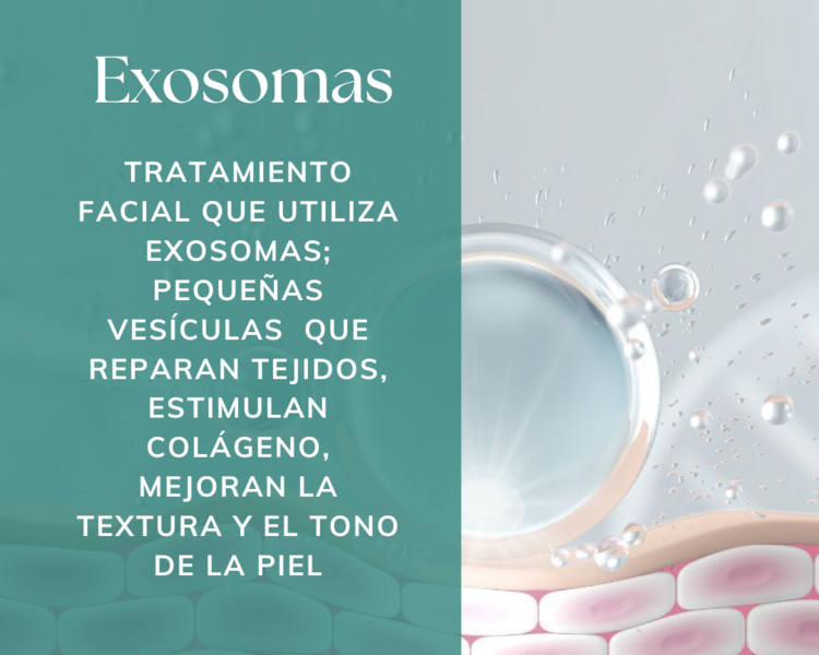 Exosomas Elite