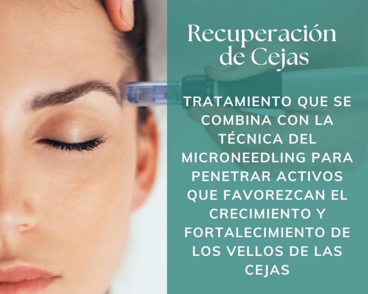 Recuperación de Cejas