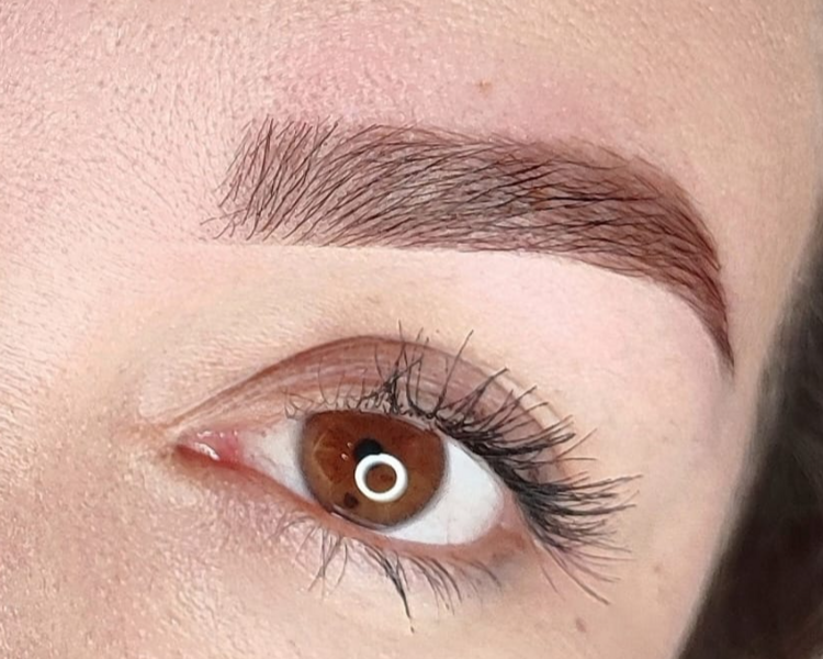 Diseño de cejas con pigmento