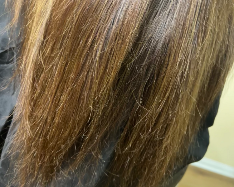 Corte bordado 