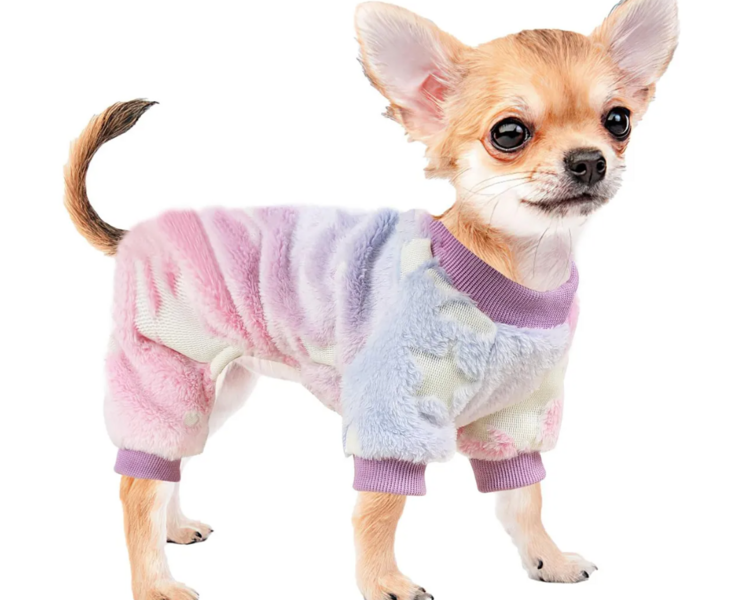 Consulta Canina