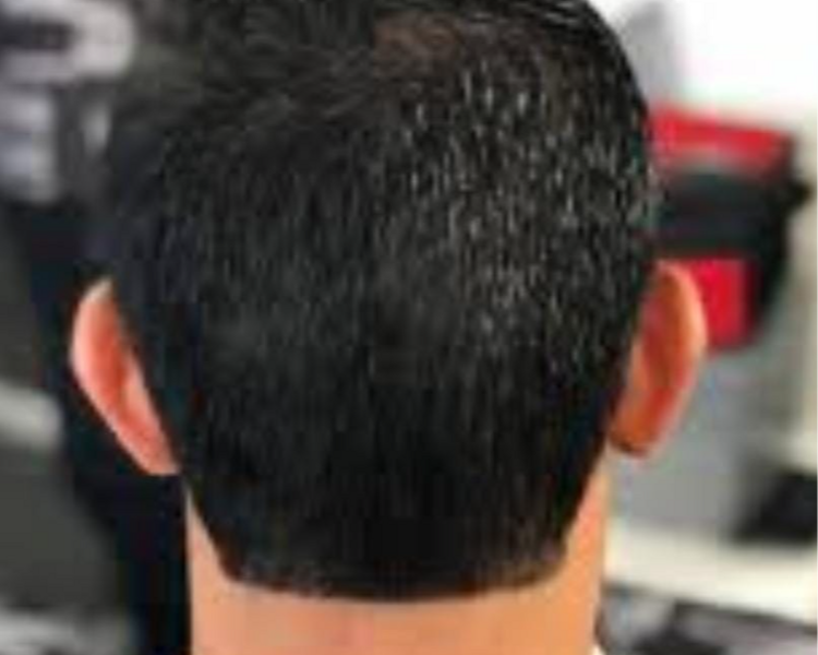 Corte clasico