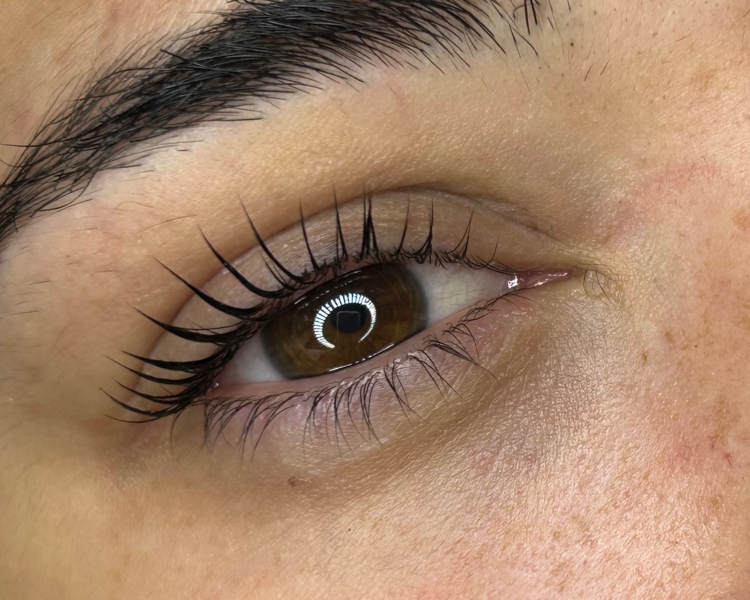 Lifting Nutritivo +tinte(Color)