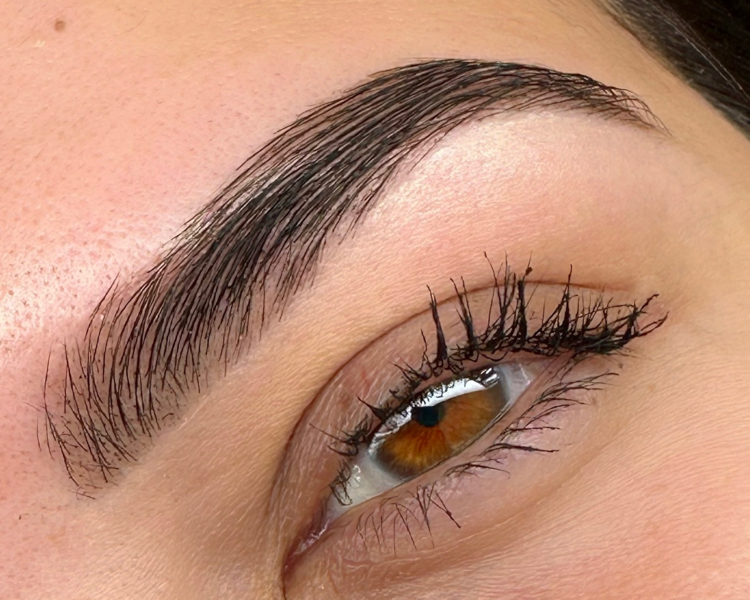 Diseño y coloración de cejas 