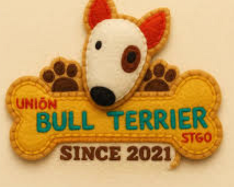 Consulta Canina Club Unión Bull Terrier
