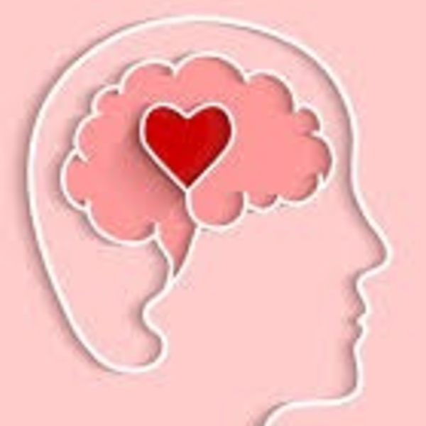 Paquete biodescodificación 