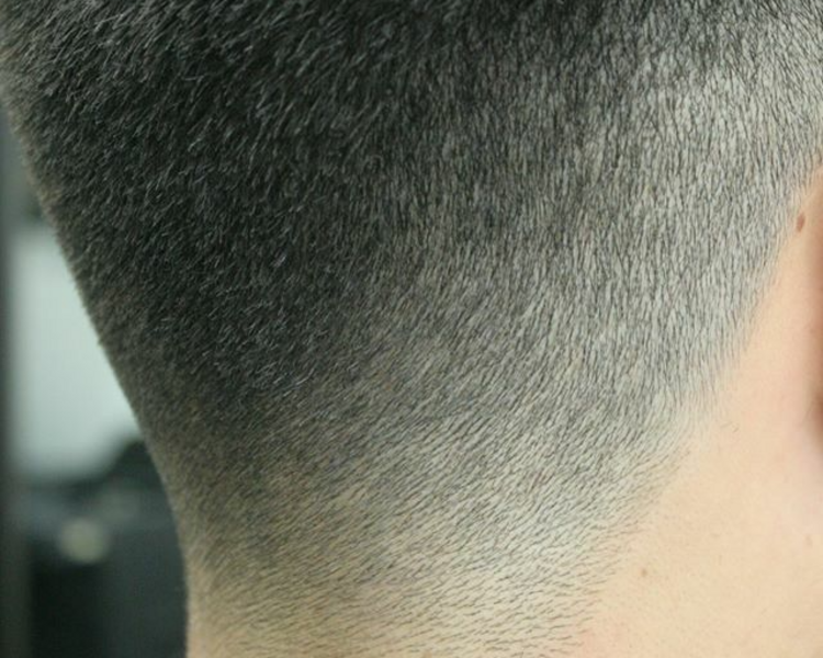 Mantenciòn de Fade (degradado)