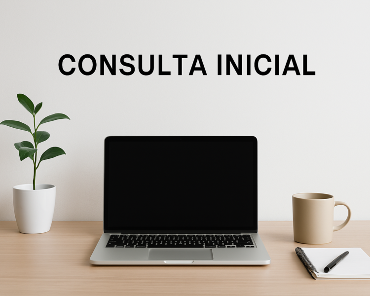 Consulta inicial