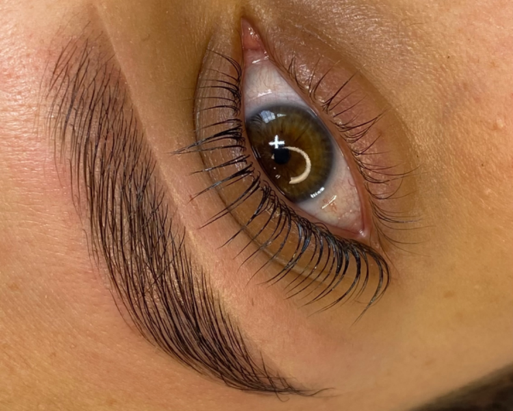 Laminado de Cejas PREMIUM