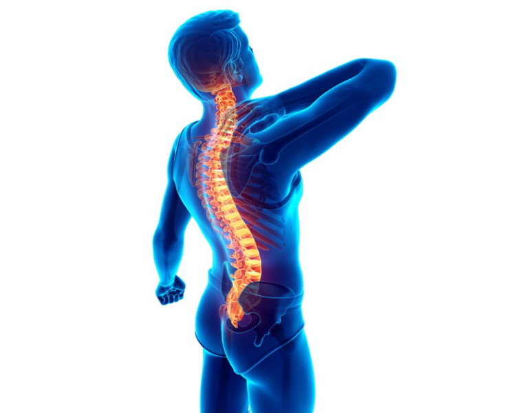 Kinesiología (20% de descuento) 