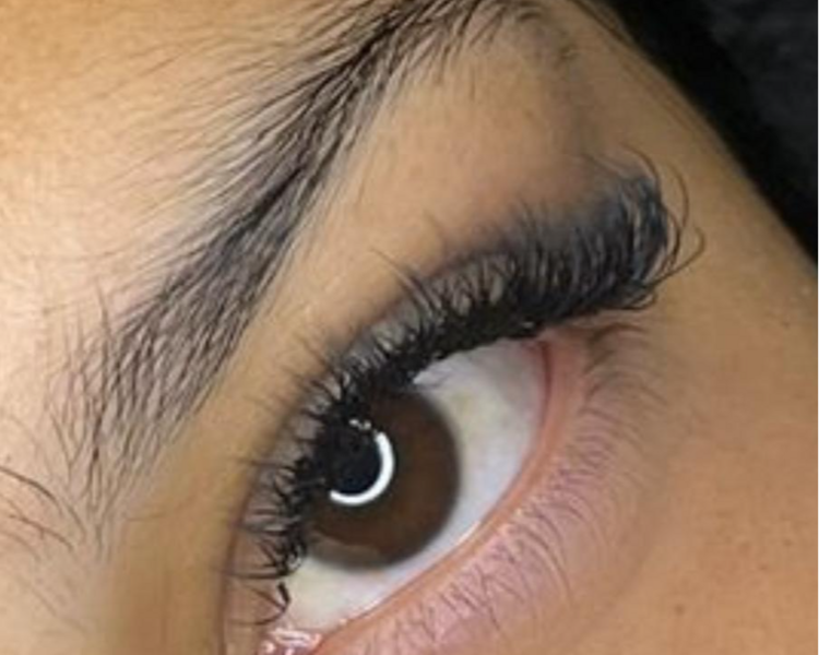 Tecnologicas Brasileras