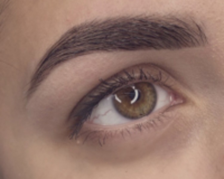 Perfilado de Cejas