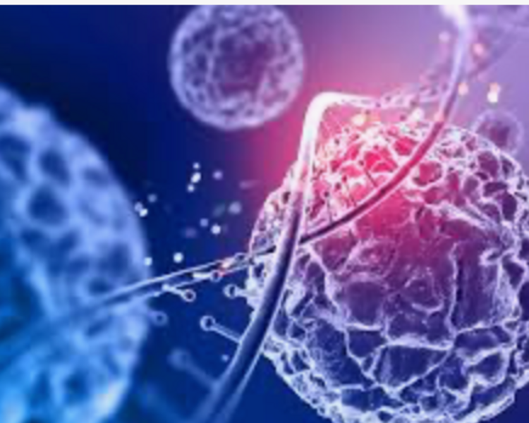 EXOSOMAS - (500cm 12 billones)