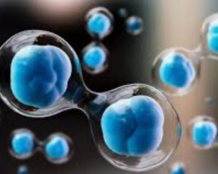 Celulas Madres / Stem Cells - 100 Millions