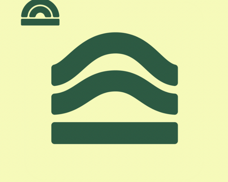 Best (Cuerpo completo)