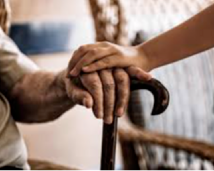 Consultoría geriátrica on line