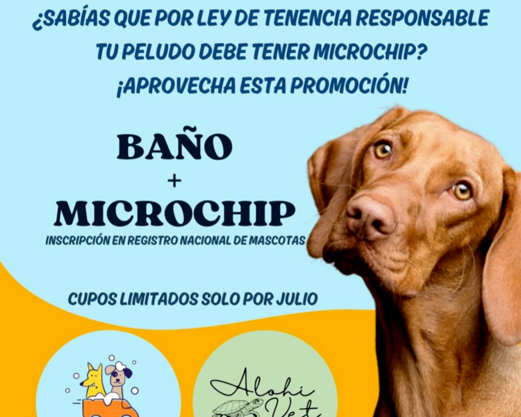 Implantación Chip + Registro