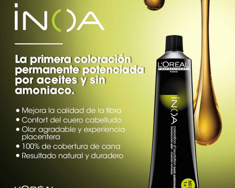 COLOR RAIZ INOA LÓREAL (valor desde)