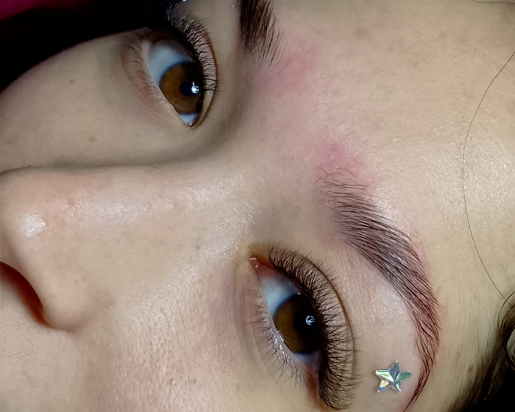 Mirada Mandala 💖 – Perfilado + Pestañas 3D 12% OFF