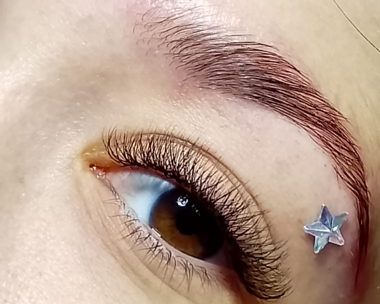 Mirada Mandala 💖 – Perfilado + Pestañas 3D 12% OFF