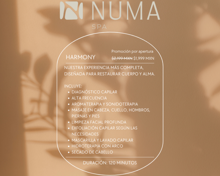 Harmony - 120 Minutos