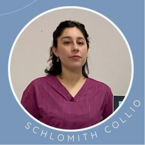 Schlomith Collio