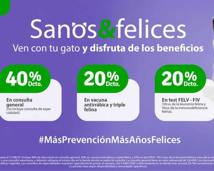 "ESPECIAL SANOS Y FELICES" 40% de dcto en consulta general para GATOS🐱🐾