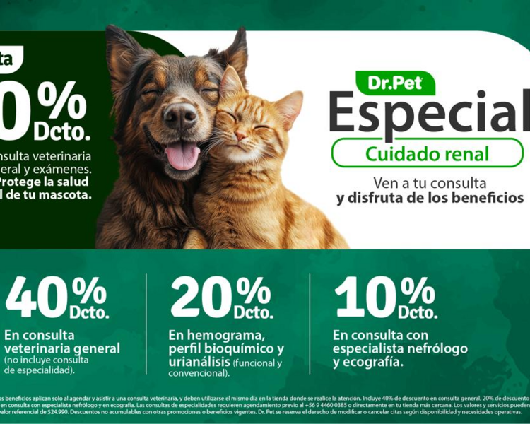 "ESPECIAL CUIDADO RENAL"  40% dcto en consulta general para perros y gatos 🐶😺
