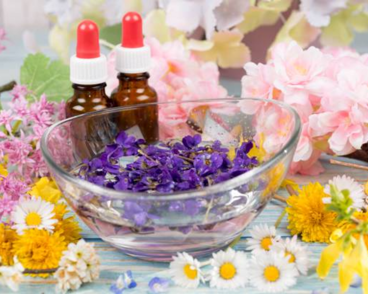 Terapia Floral de Bach (Adultos) - Online