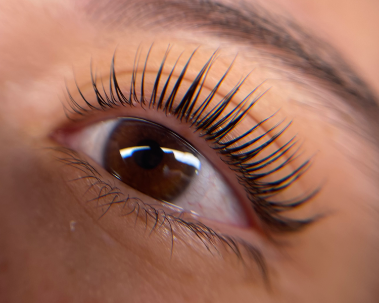 Curso LASH LIFTING AVANZADO