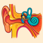 ESTUDIOS COMPLEMETARIOS photo