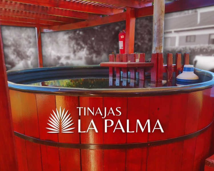 Tinaja para 5 personas