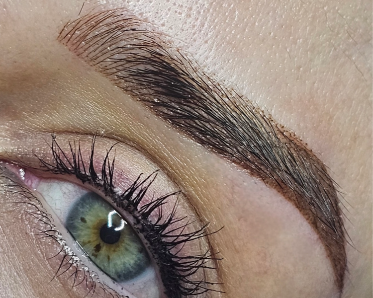 Micropigmentación de cejas mixtas 🌟