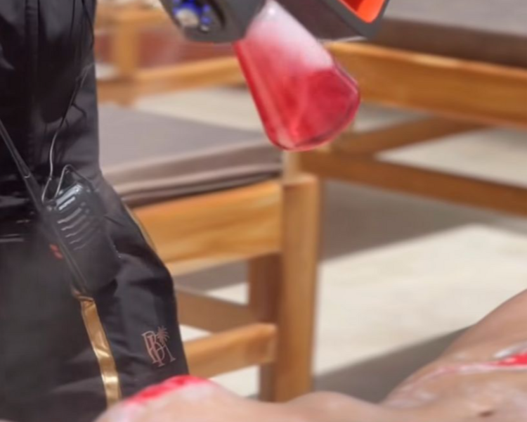 Pistola Amatista todo el cuerpo 