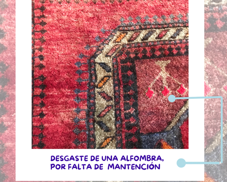  Alfombra pelo Corto desde 5,1 hasta 10 mts cuadrados. Valor por metro cuadrado