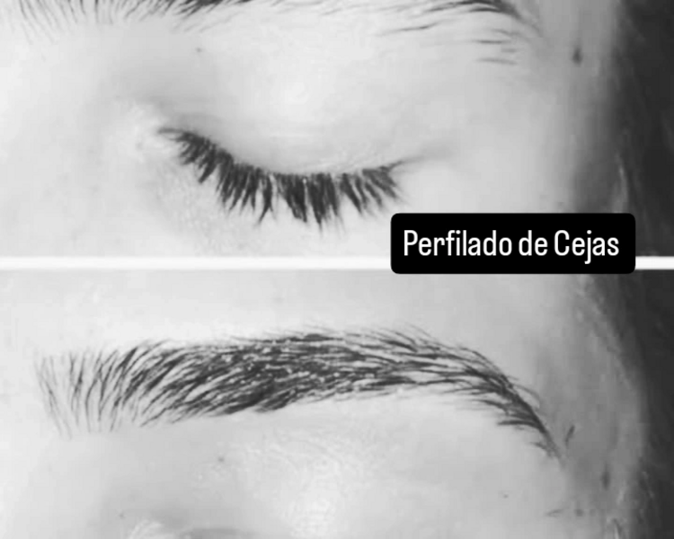 Perfilado + laminado 