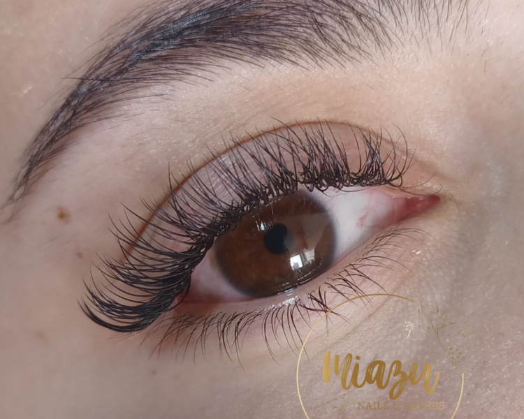 Extensiones Clasicas