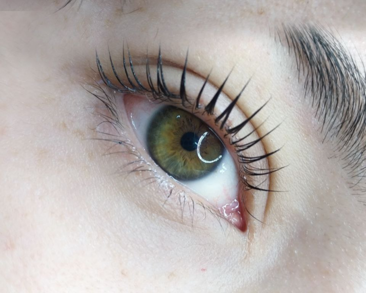 Lifting de Pestañas Premium 