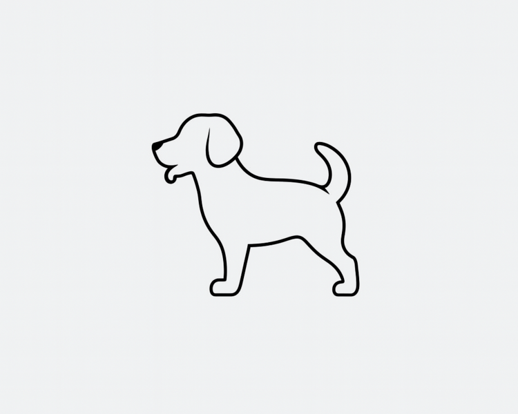 Grooming perro chico - Valle Escondido (2 sesiones)