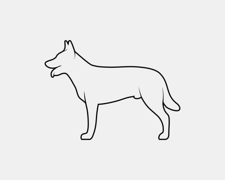 Grooming perro grande - Valle Escondido (2 sesiones)