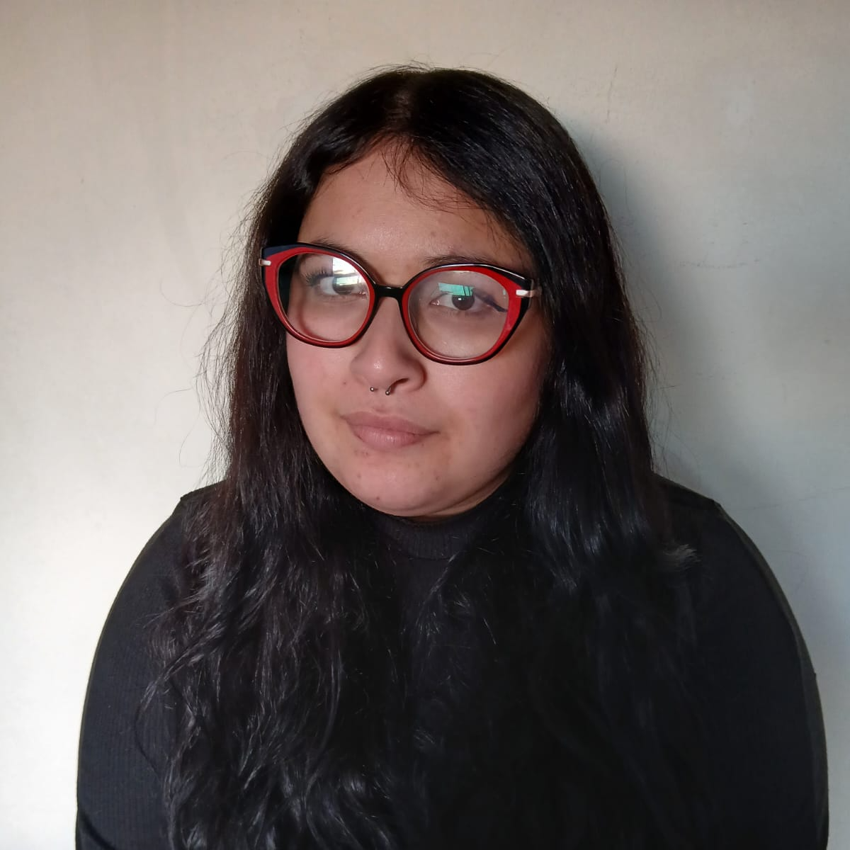 Fernanda Illanes Toro