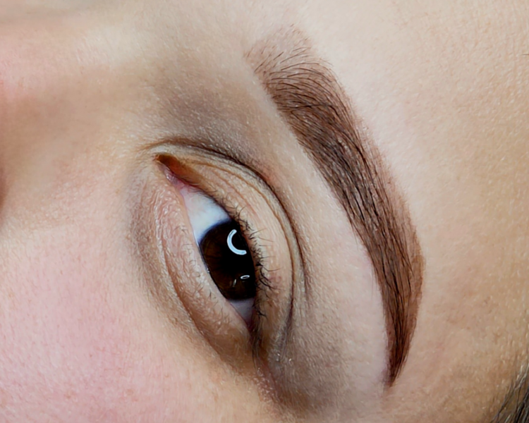 Martes de Cejas (valido solo para los días martes)⭐️